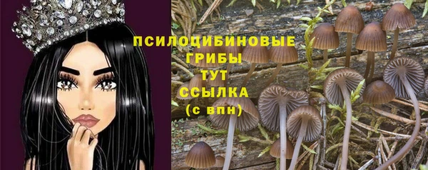 кокс Михайловск