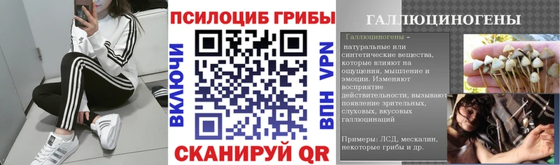 Галлюциногенные грибы прущие грибы  Алексеевка 